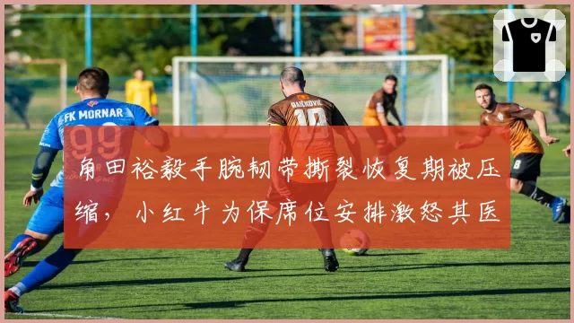 角田裕毅手腕韧带撕裂恢复期被压缩，小红牛为保席位安排激怒其医疗团队