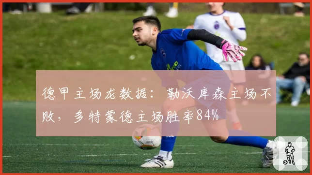 德甲主场龙数据：勒沃库森主场不败，多特蒙德主场胜率84%