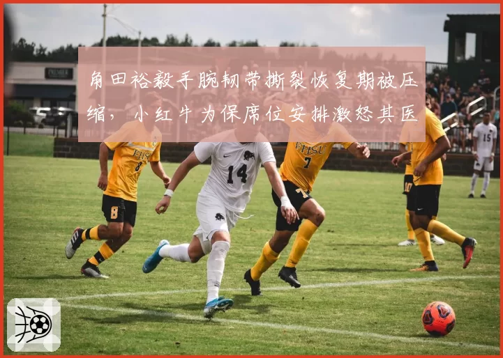 角田裕毅手腕韧带撕裂恢复期被压缩，小红牛为保席位安排激怒其医疗团队