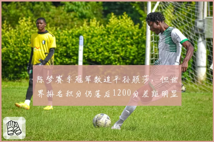 陈梦赛季冠军数追平孙颖莎，但世界排名积分仍落后1200分差距明显